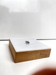 Gümüş Rengi Taşlı Kelebekli Model Piercing