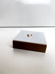 Altın Rengi Taşlı Yaprak Model Piercing